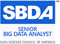 Senior Big Data Analyst